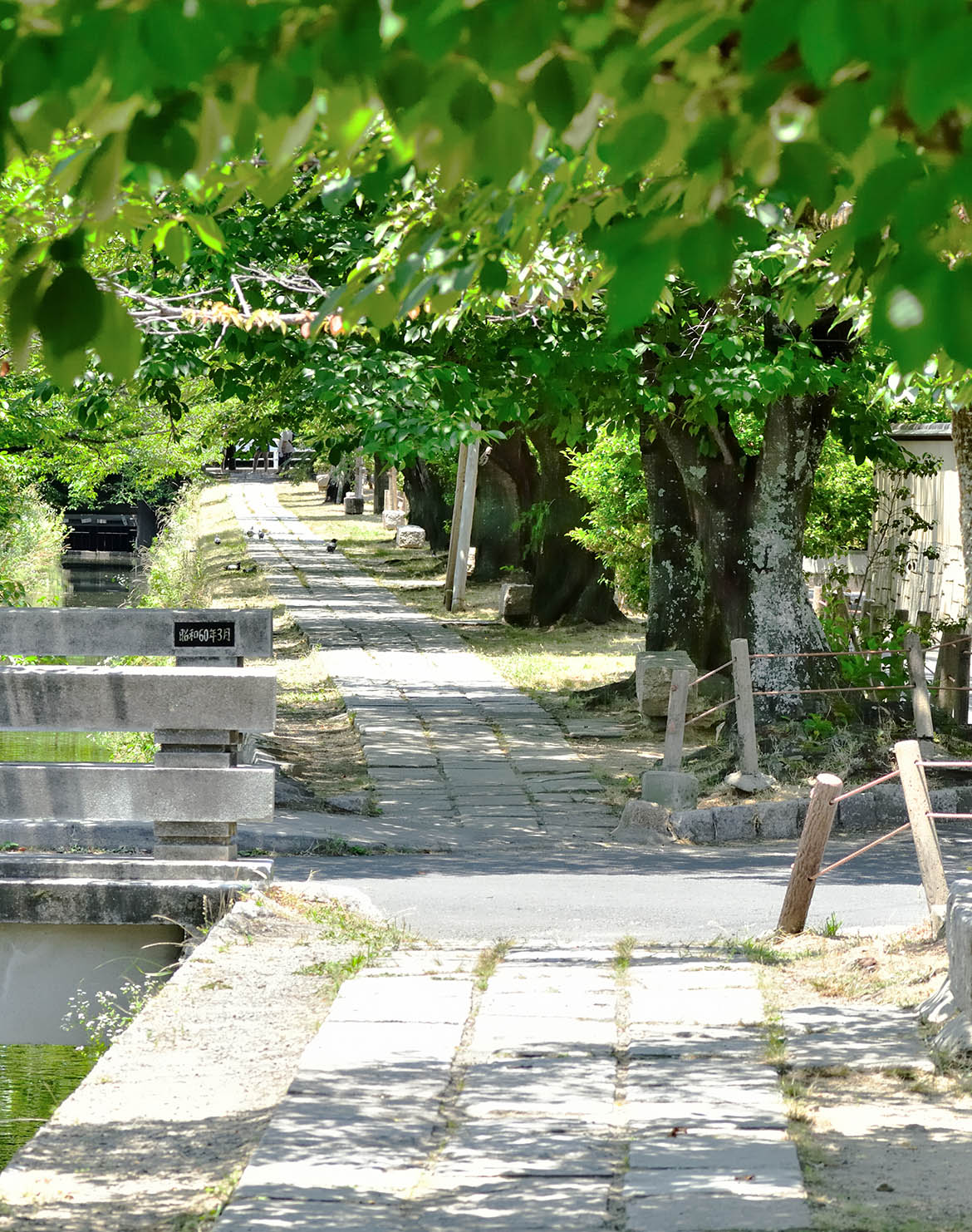 銀閣寺