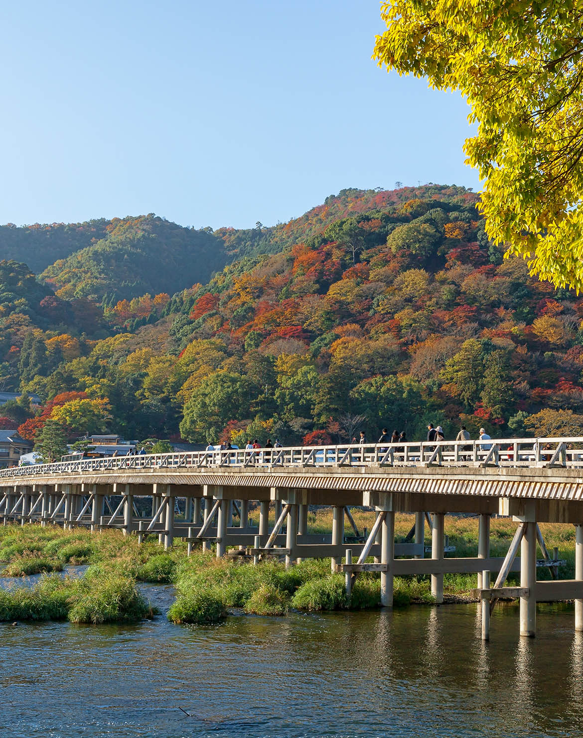 嵐山（渡月橋・天龍寺）