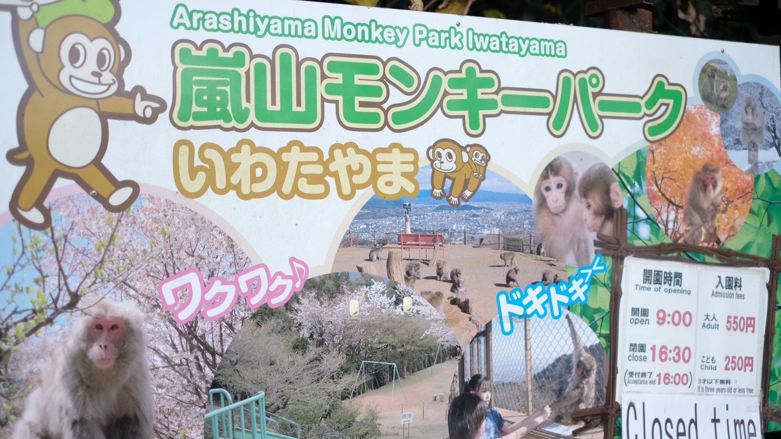 嵐山モンキーパーク Hotel Kuu Kyoto ホテル空京都 公式