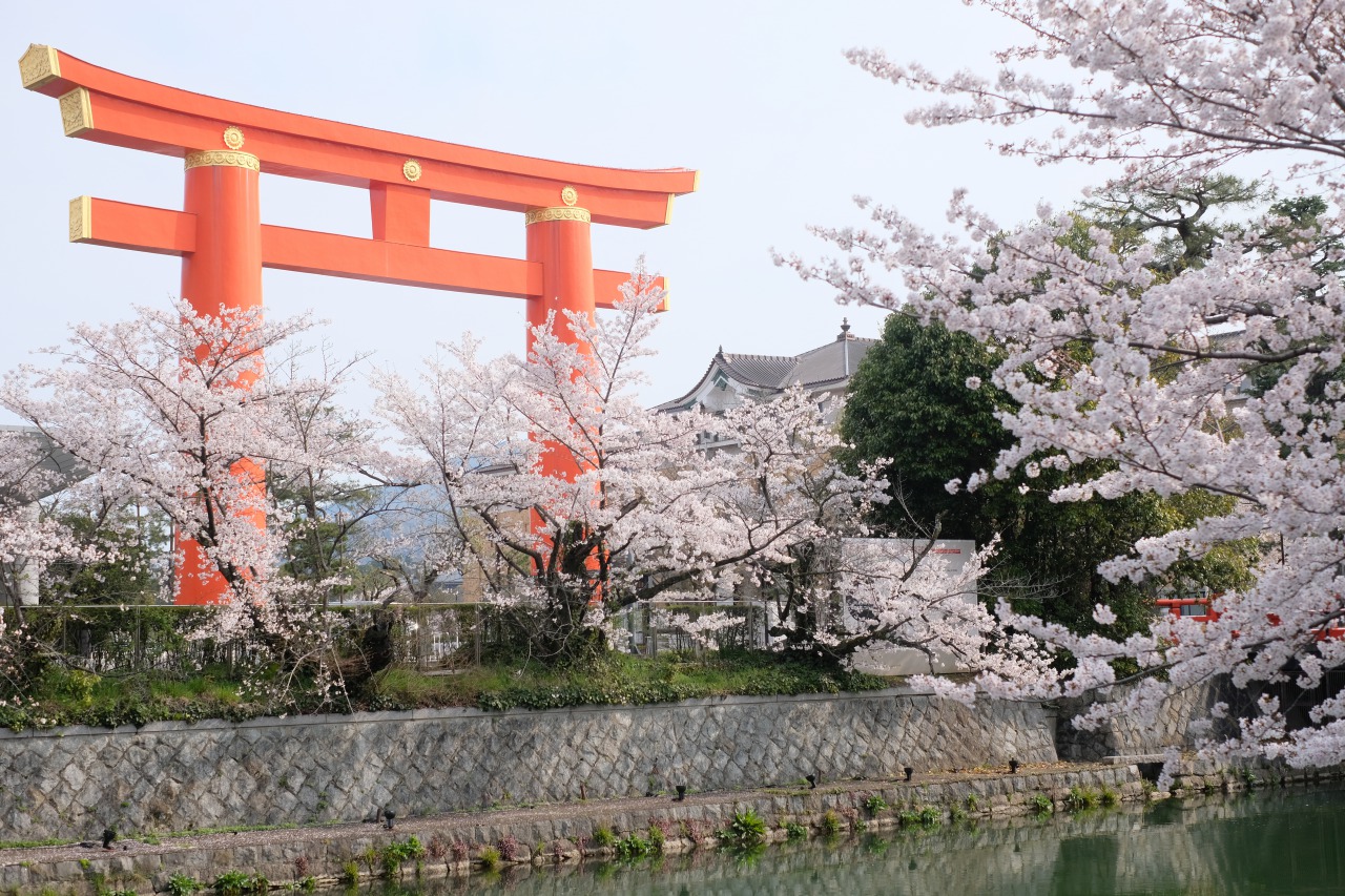 桜と京都の川 Hotel Kuu Kyoto ホテル空京都 公式