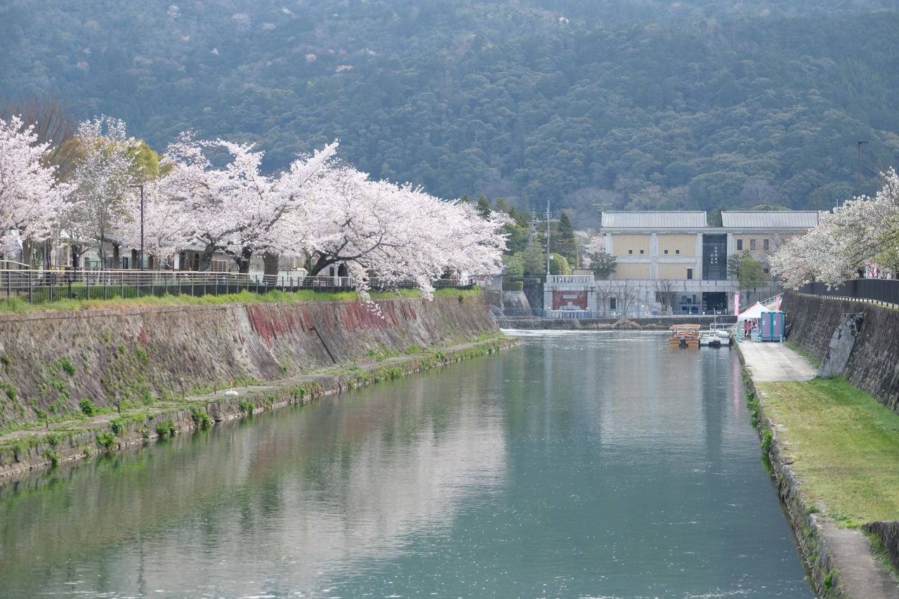 桜と京都の川 Hotel Kuu Kyoto ホテル空京都 公式