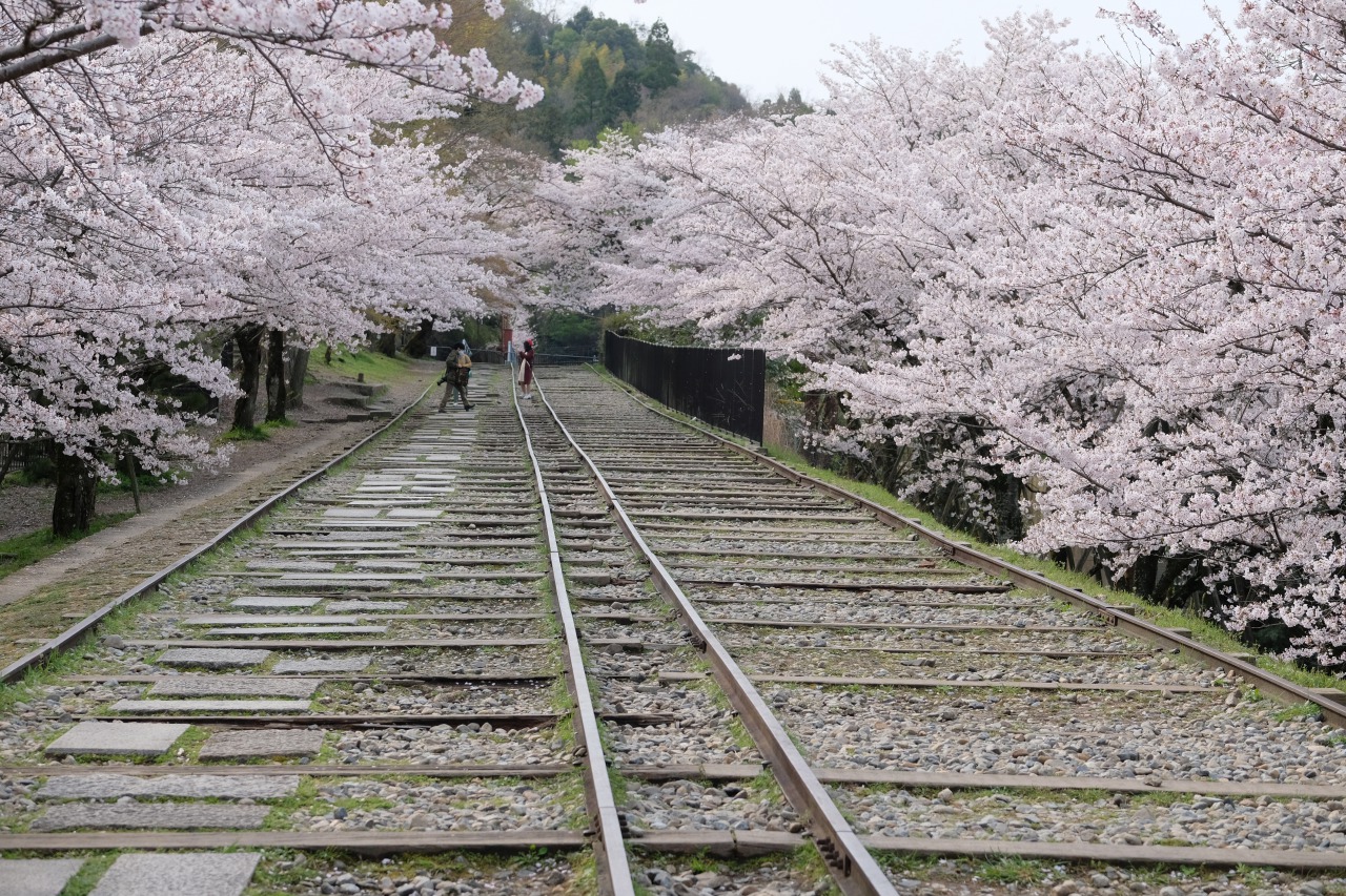 桜と京都の川 Hotel Kuu Kyoto ホテル空京都 公式